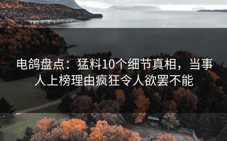 电鸽盘点：猛料10个细节真相，当事人上榜理由疯狂令人欲罢不能