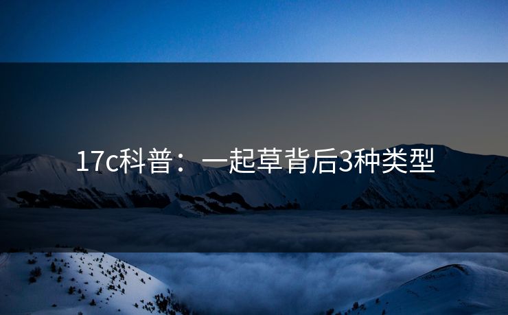 17c科普：一起草背后3种类型